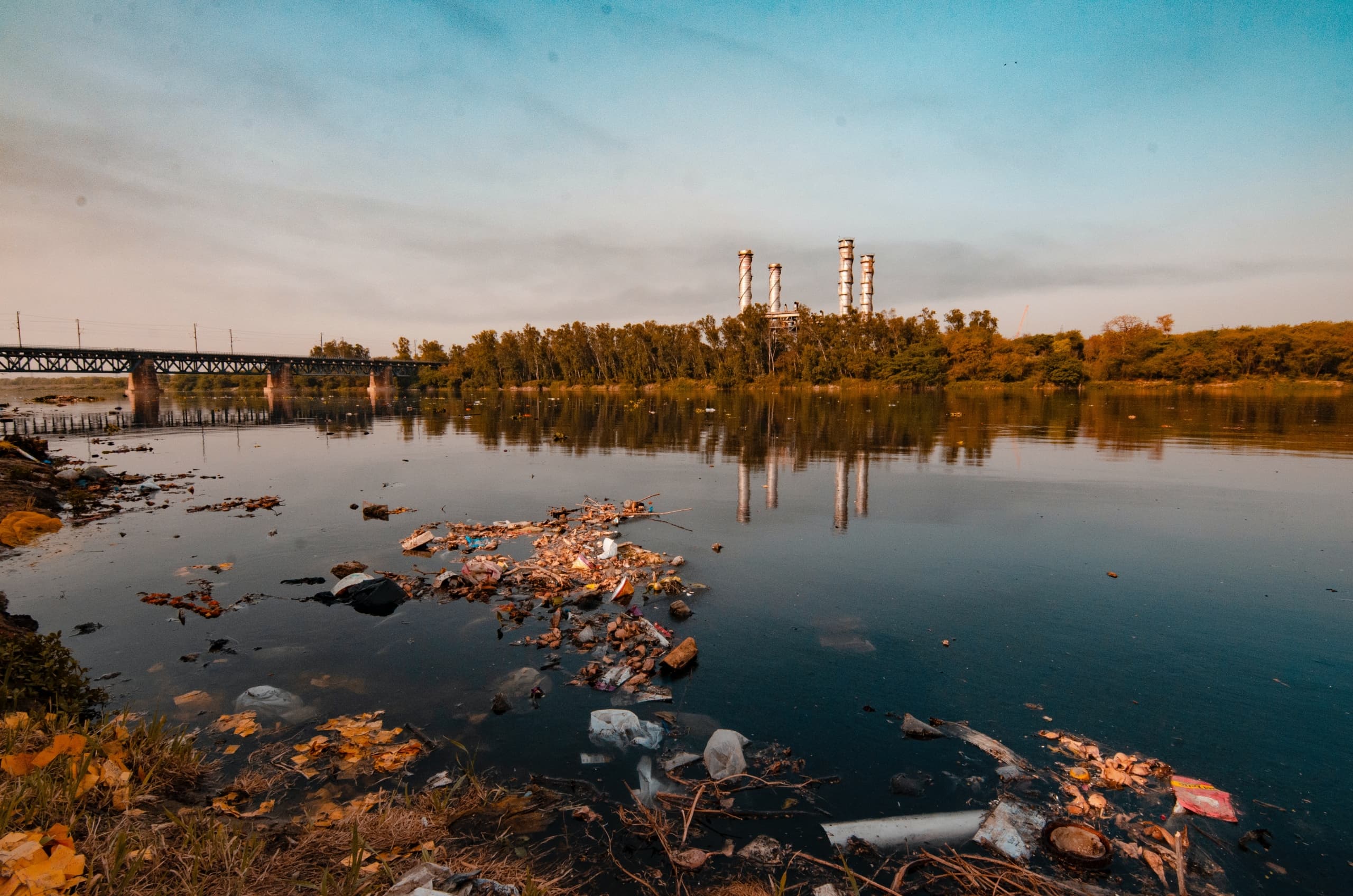 La ley como herramienta para luchar contra el cambio climático